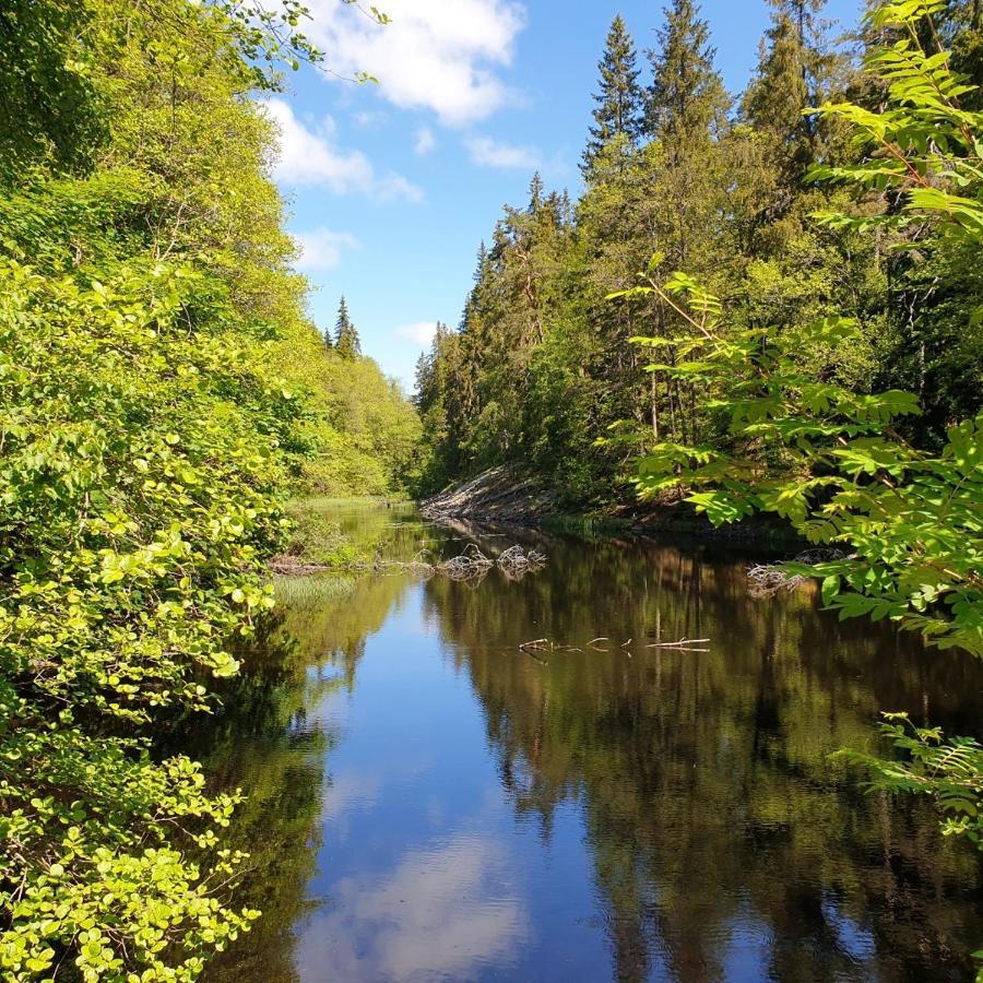 Cabin Near Lake And Beautiful Nature Reserve. Bodafors المظهر الخارجي الصورة