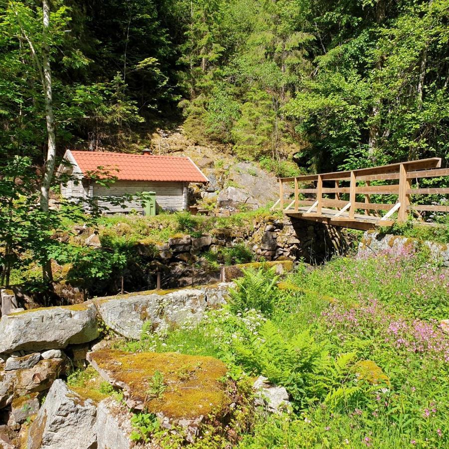 Cabin Near Lake And Beautiful Nature Reserve. Bodafors المظهر الخارجي الصورة